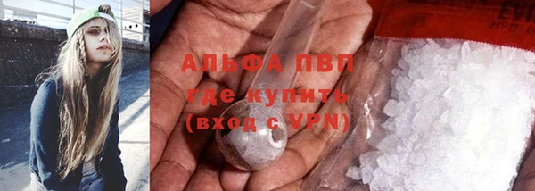 эйфоретик Бородино