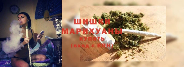 эйфоретик Бородино