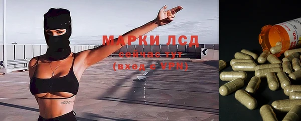 эйфоретик Бородино