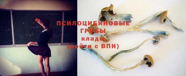 эйфоретик Бородино