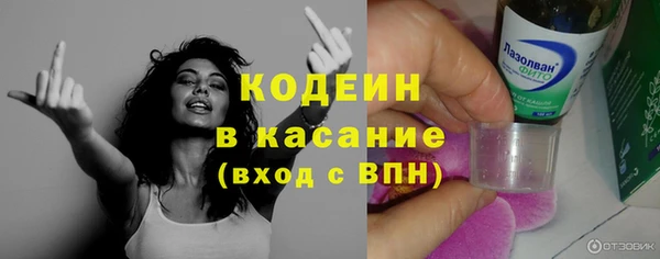 эйфоретик Бородино
